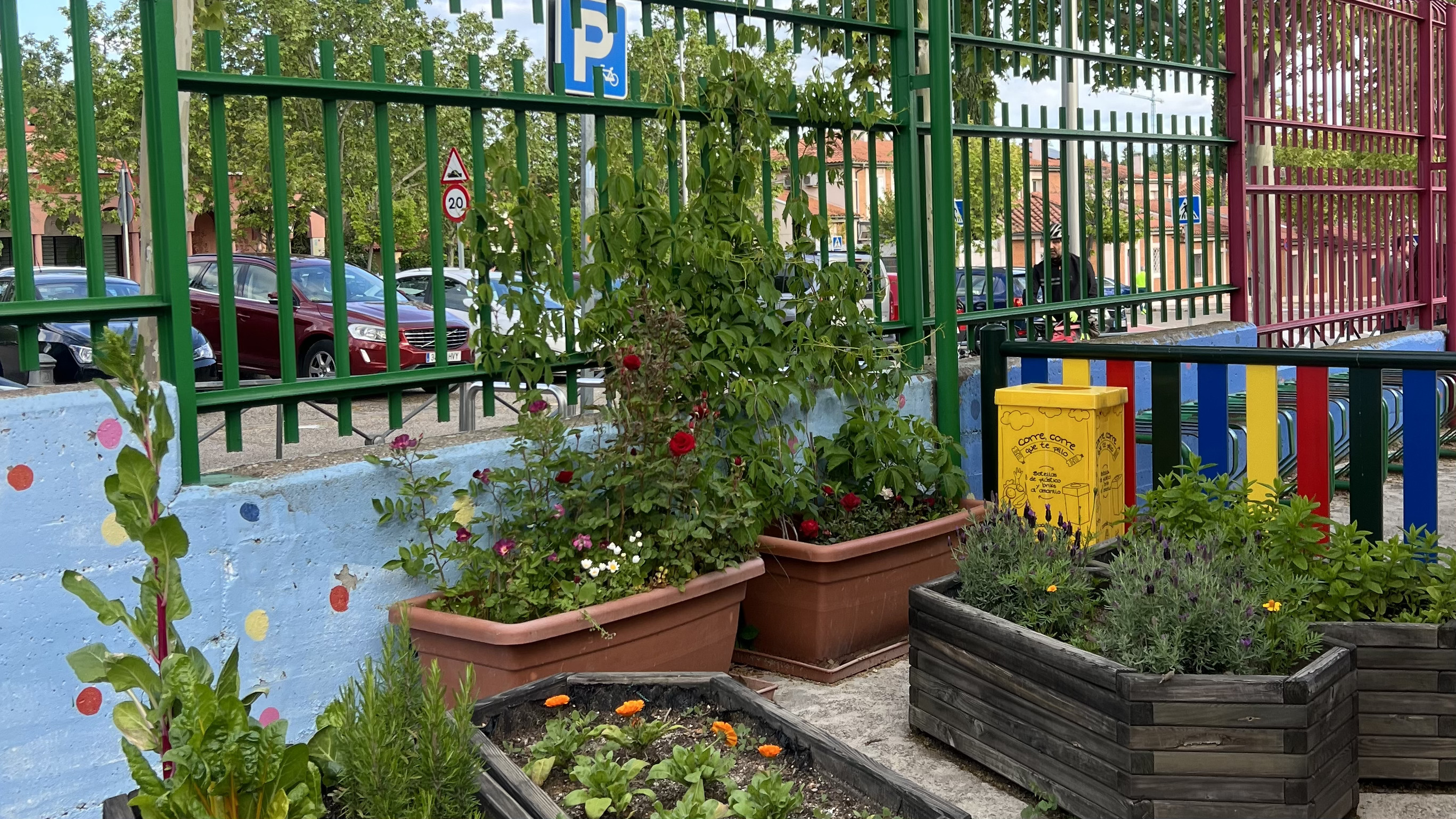 Huerto Infantil